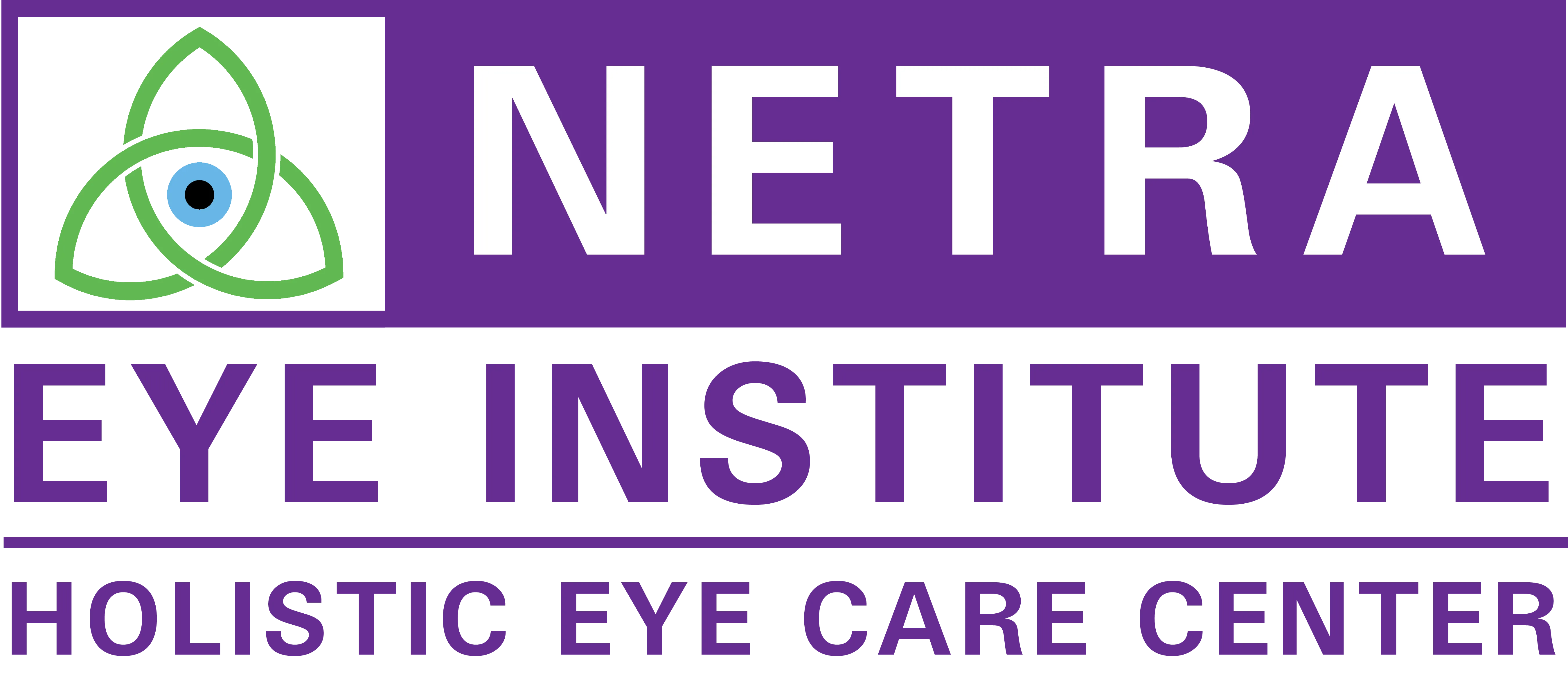 Netra Eye Institute logo