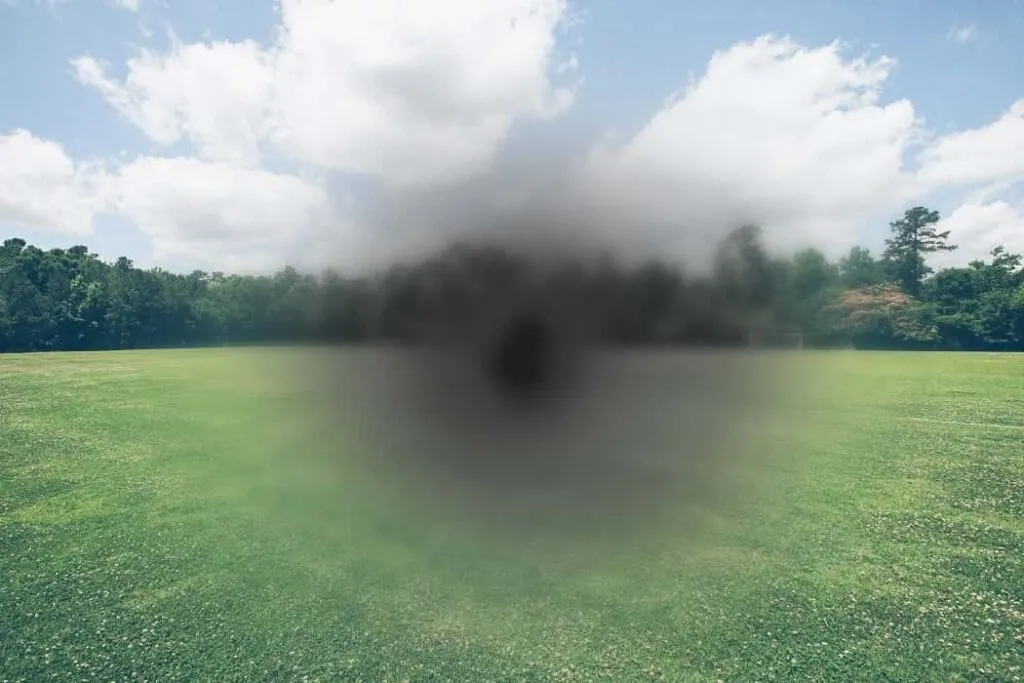 Wet AMD condition illustration