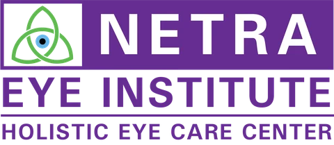 Netra Eye Institute logo