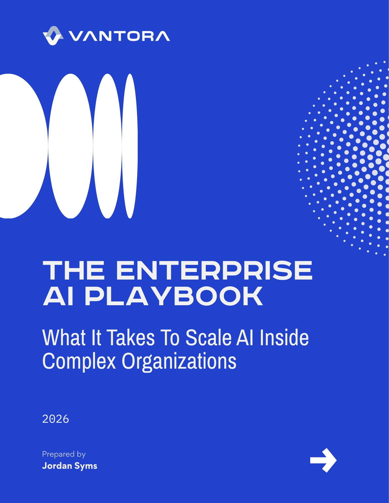 Cover of The Enterprise AI Playbook