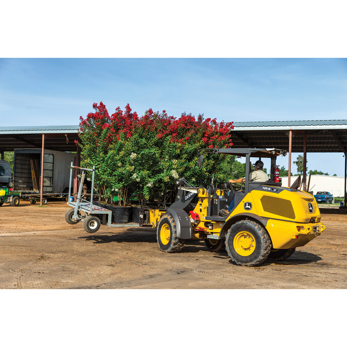 A wheel loader using front forks to transport large potted trees across a dirt yard, with an open-sided storage building and additional equipment visible in the background.