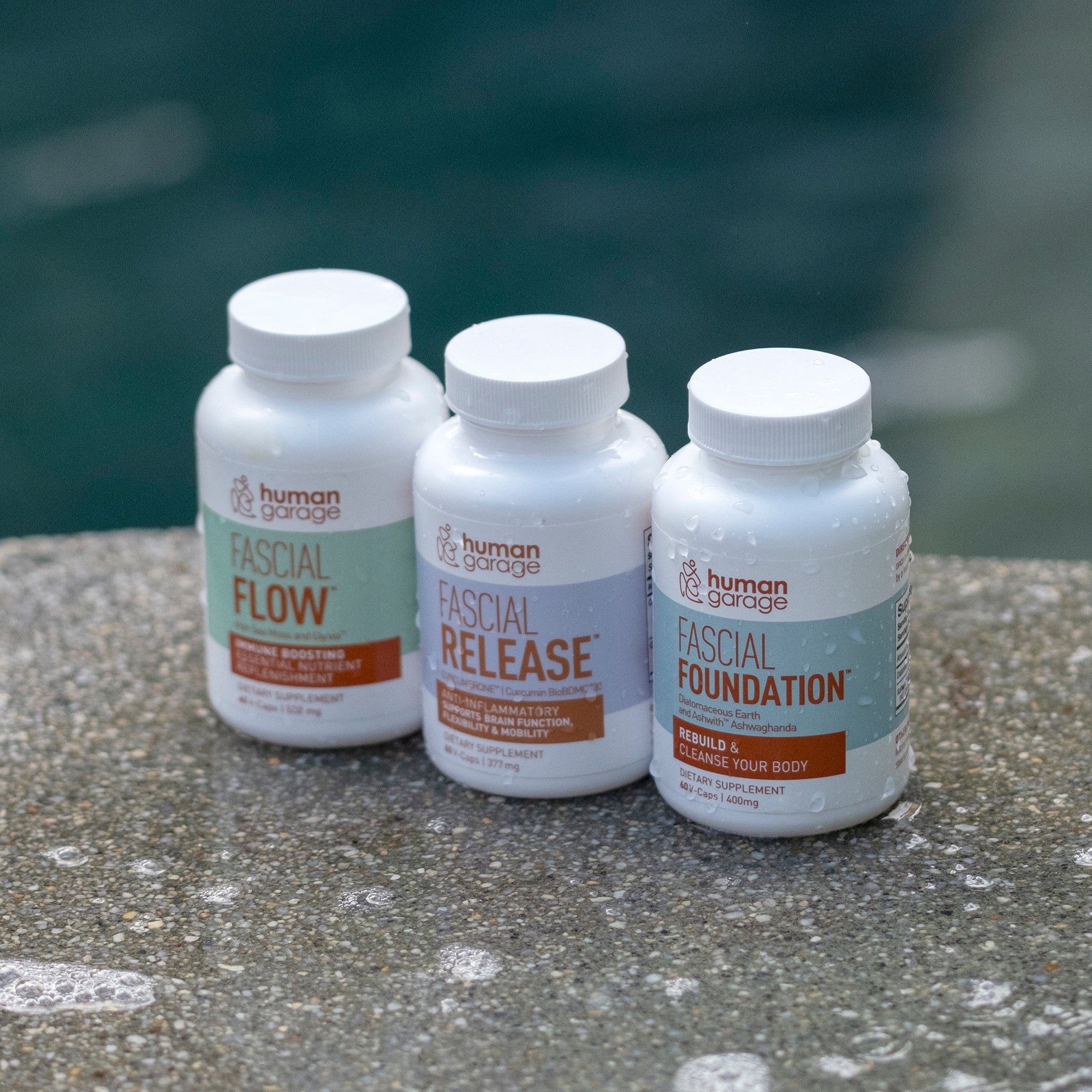 Fundamental Package Plus (Only Available For Purchase In The USA)