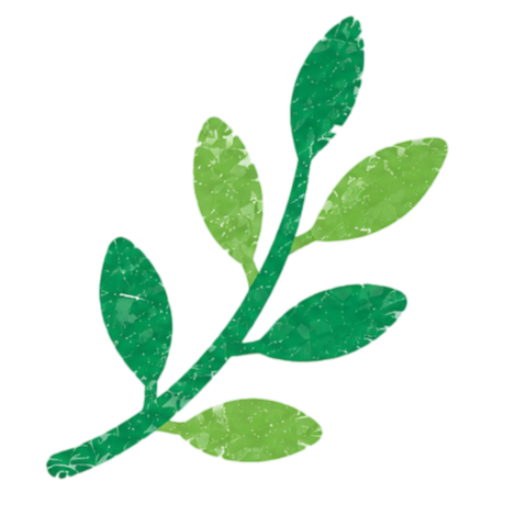 Illustration of a green leafy plant stem with alternating light and dark green leaves on a black background.