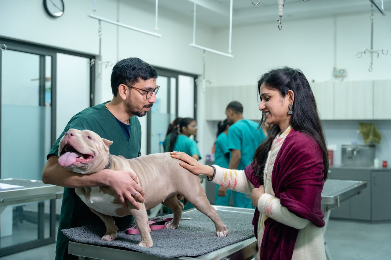 Veterinarian in green scrubs holding a happy, panting dog on an exam table while a smiling woman pets the dog in a veterinary clinic.