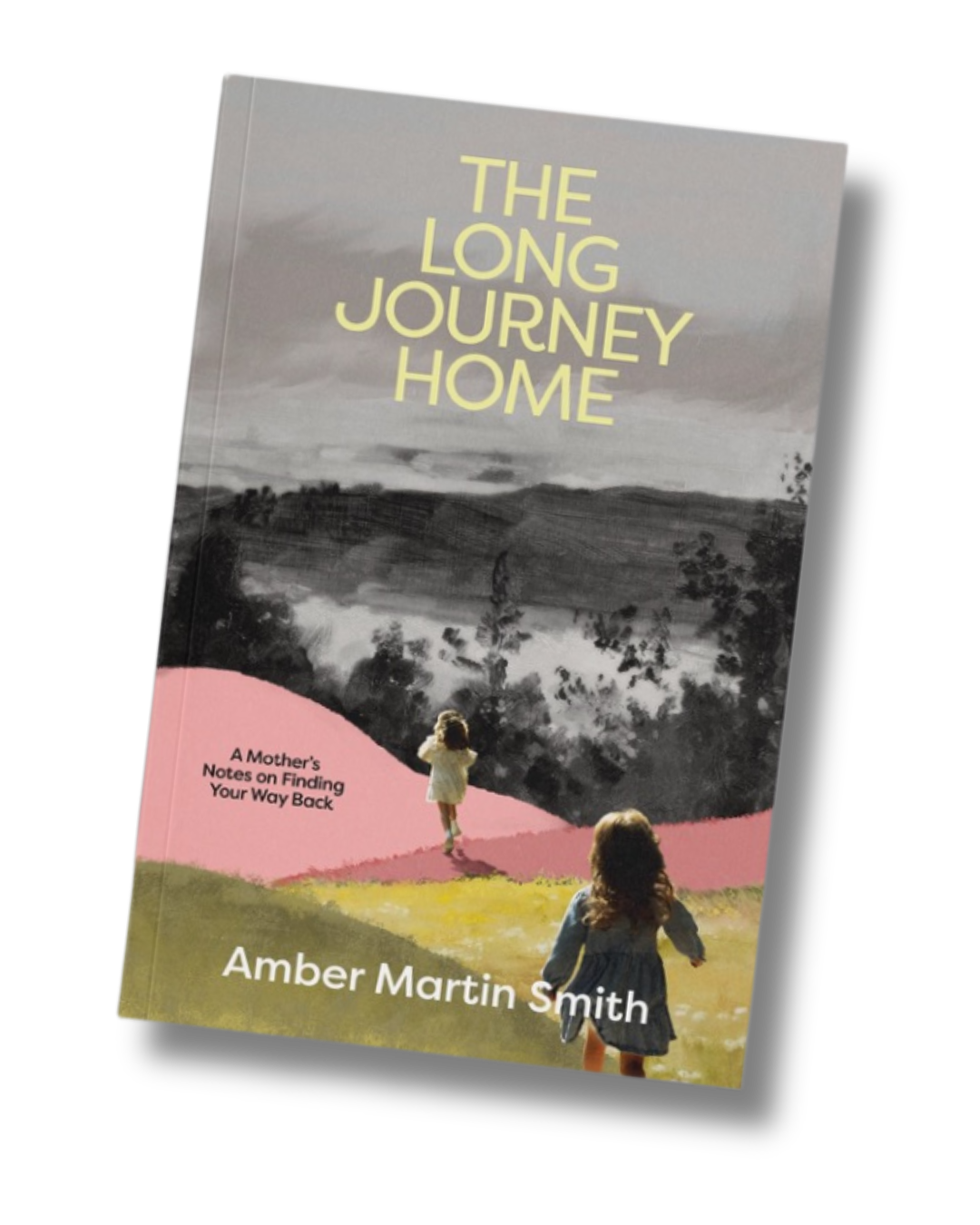The Long Journey Home book mockup