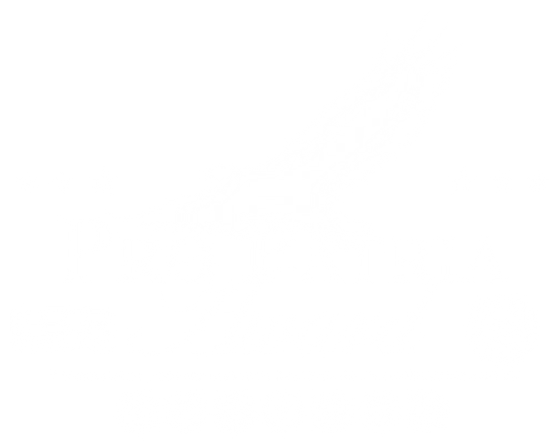 ESGR Pro Patria Award recipient