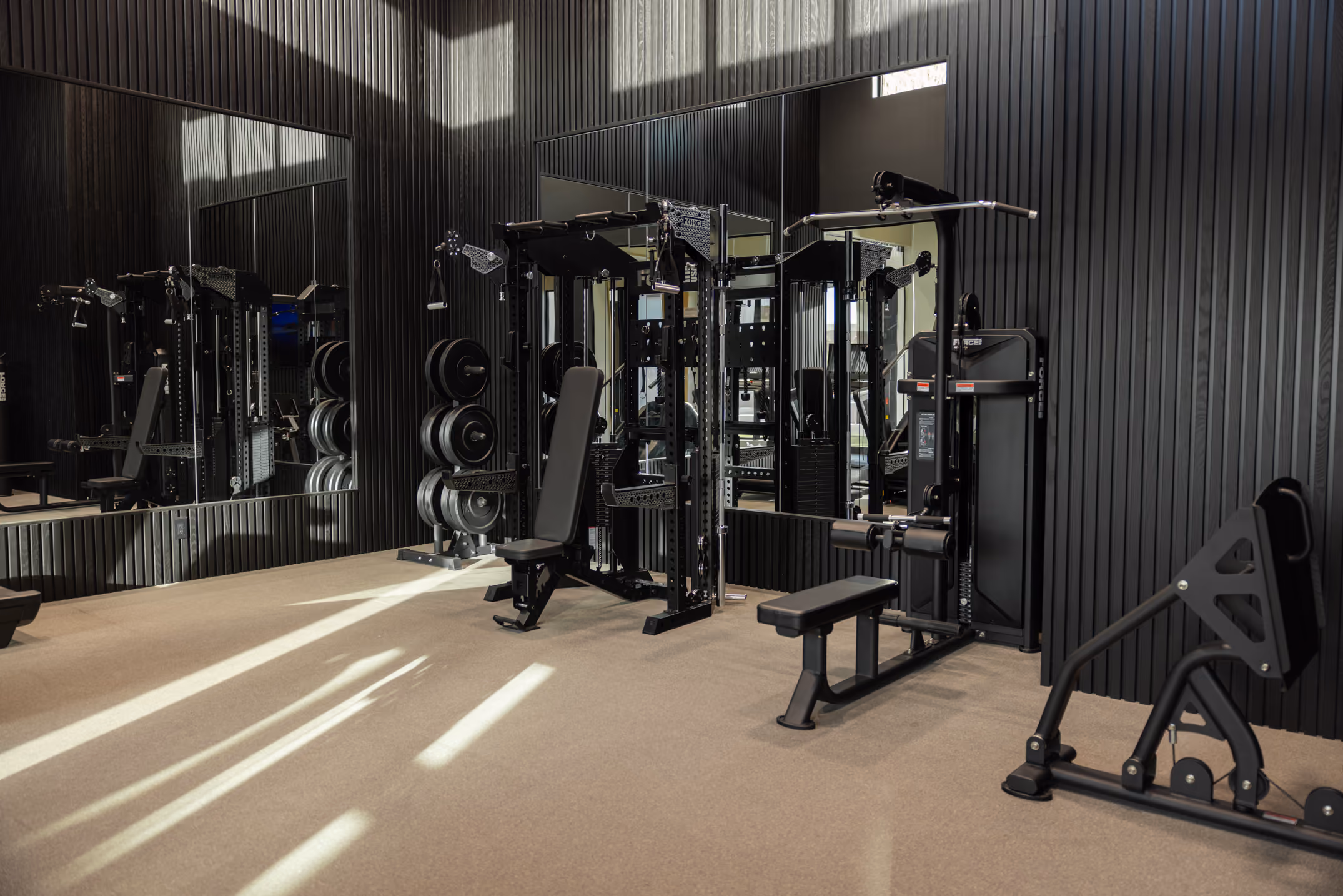 Rig and free-weight floor of a DivFit installation
