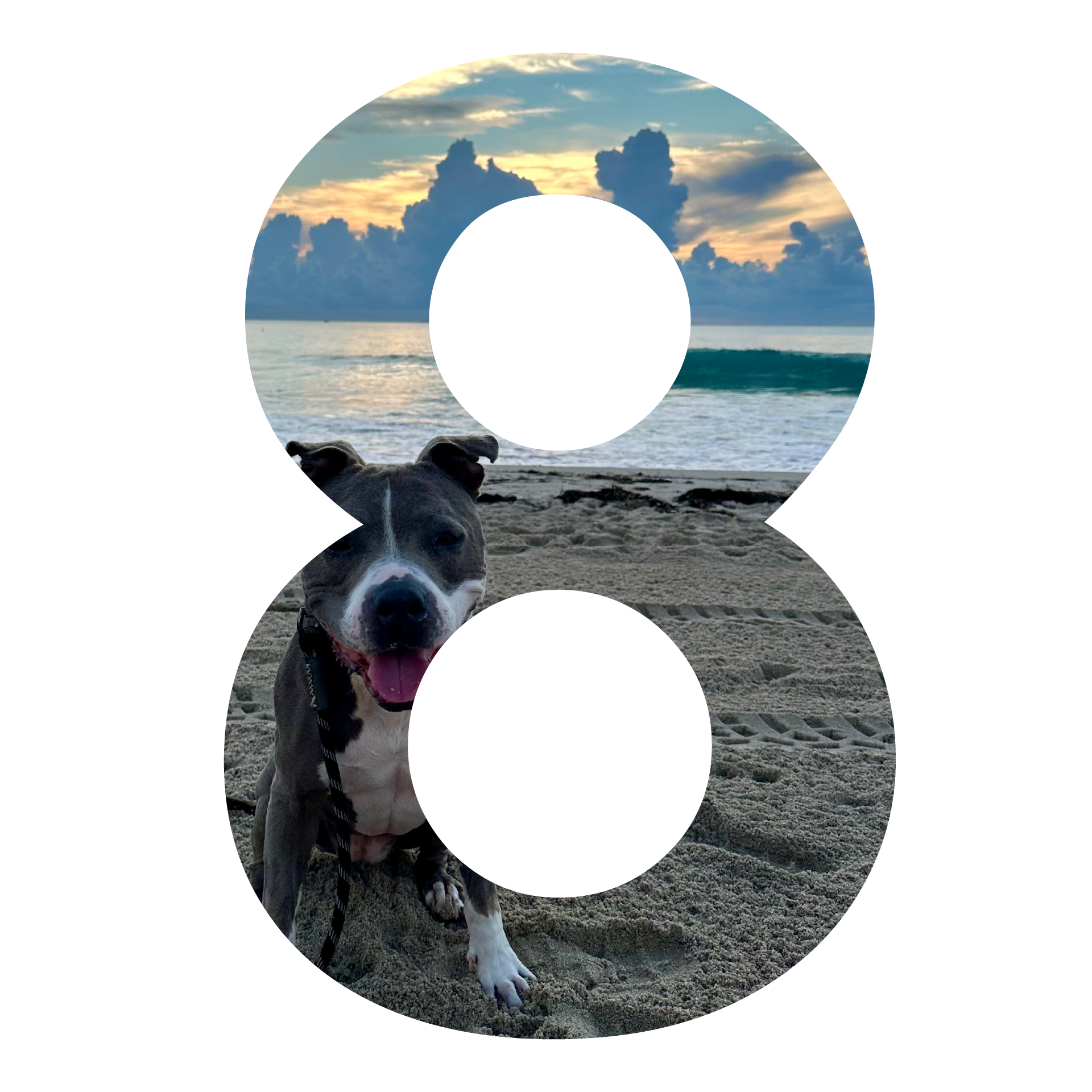 8 Graphic