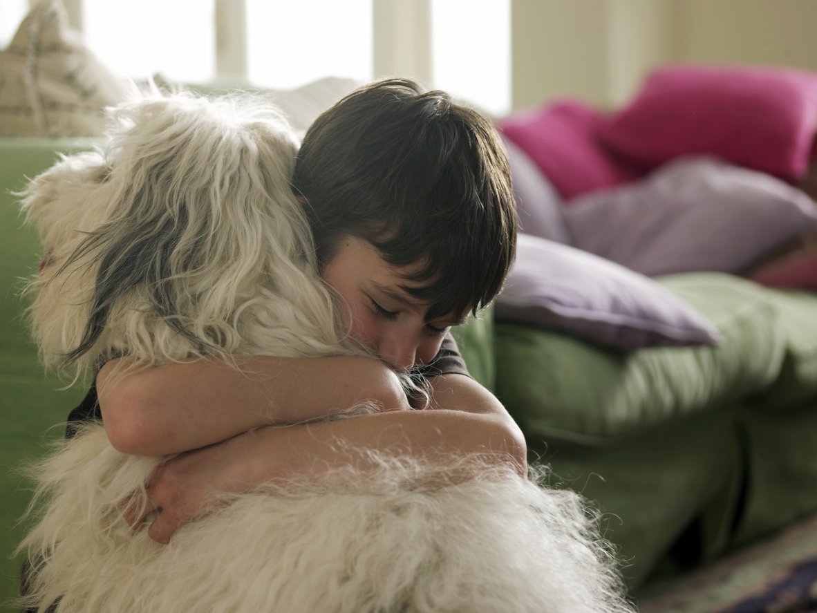 Eligible dog recipient photo