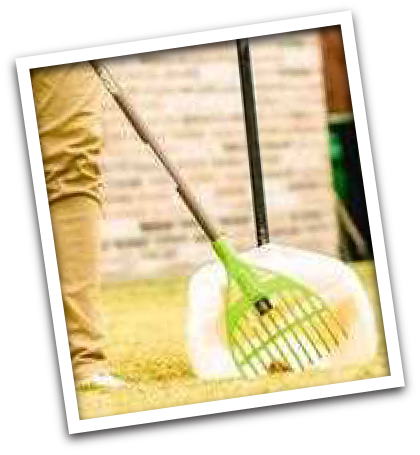 Person using a green-handled rake to collect leaves or debris into a white dustpan outside on grass with a brick wall in the background.