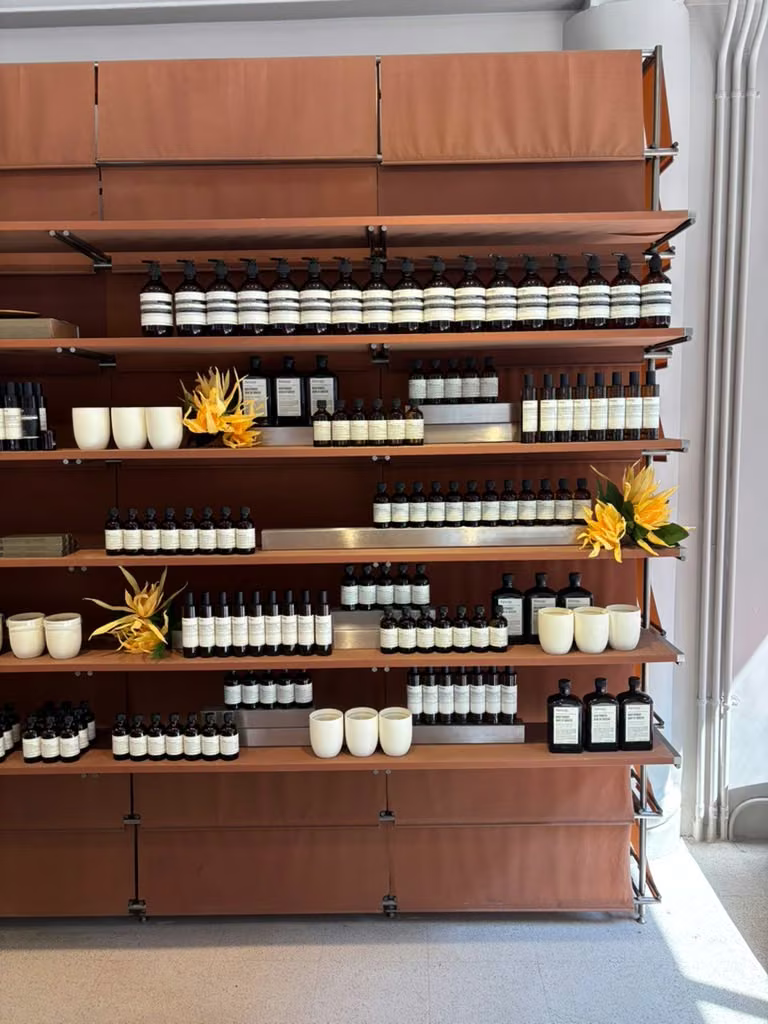 Aesop by Paper and Flowers