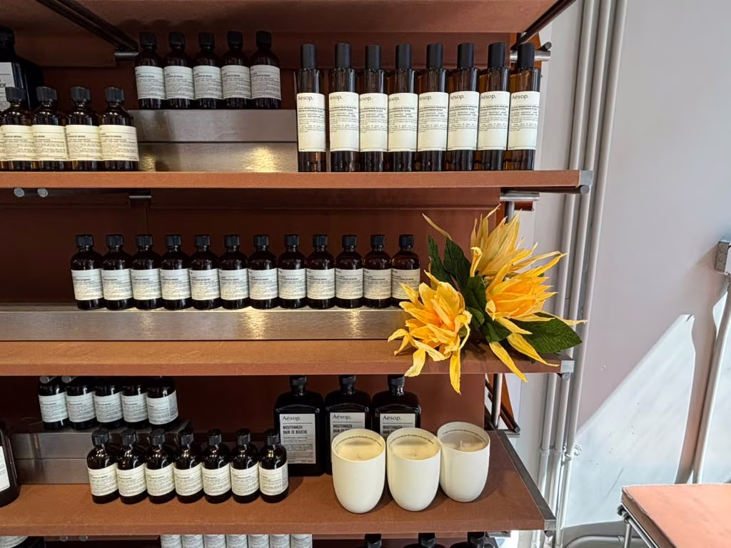 Aesop by Paper and Flowers