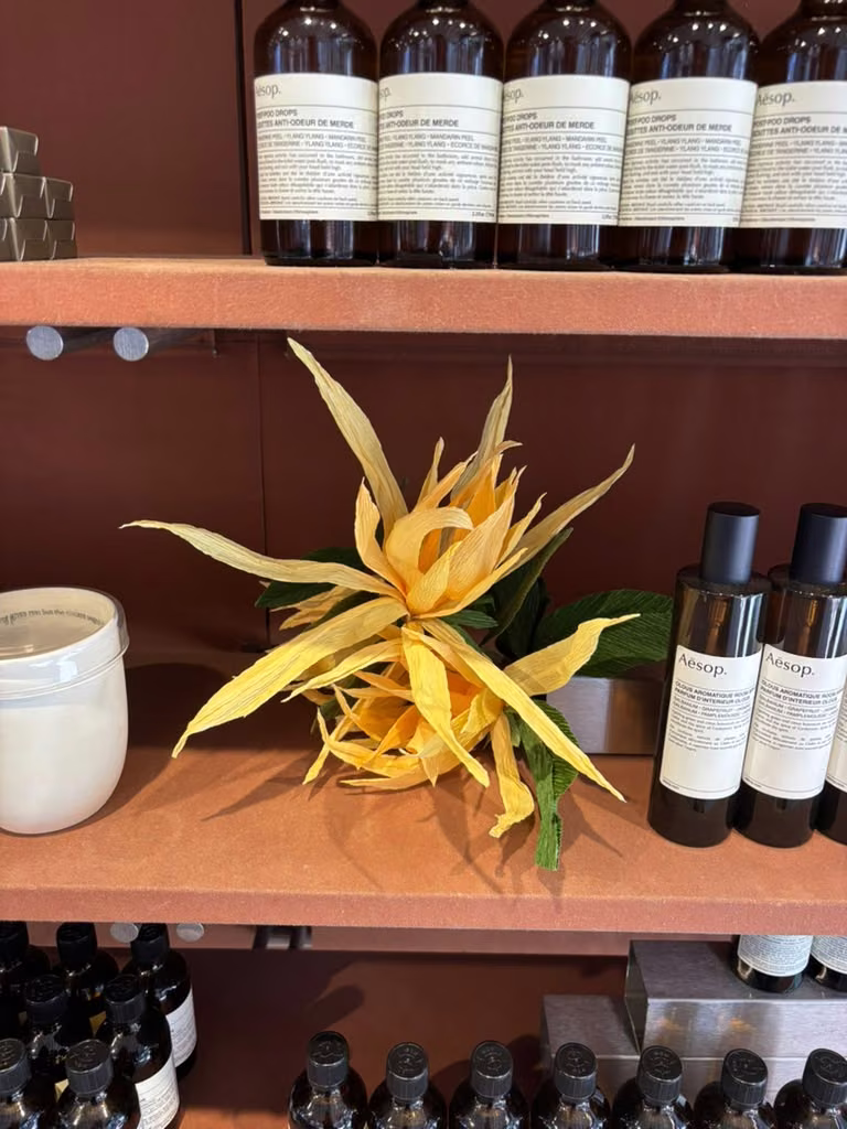 Aesop by Paper and Flowers