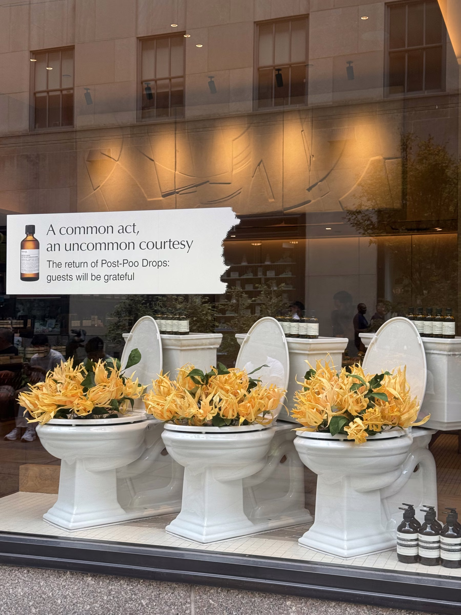 Aesop by Paper and Flowers