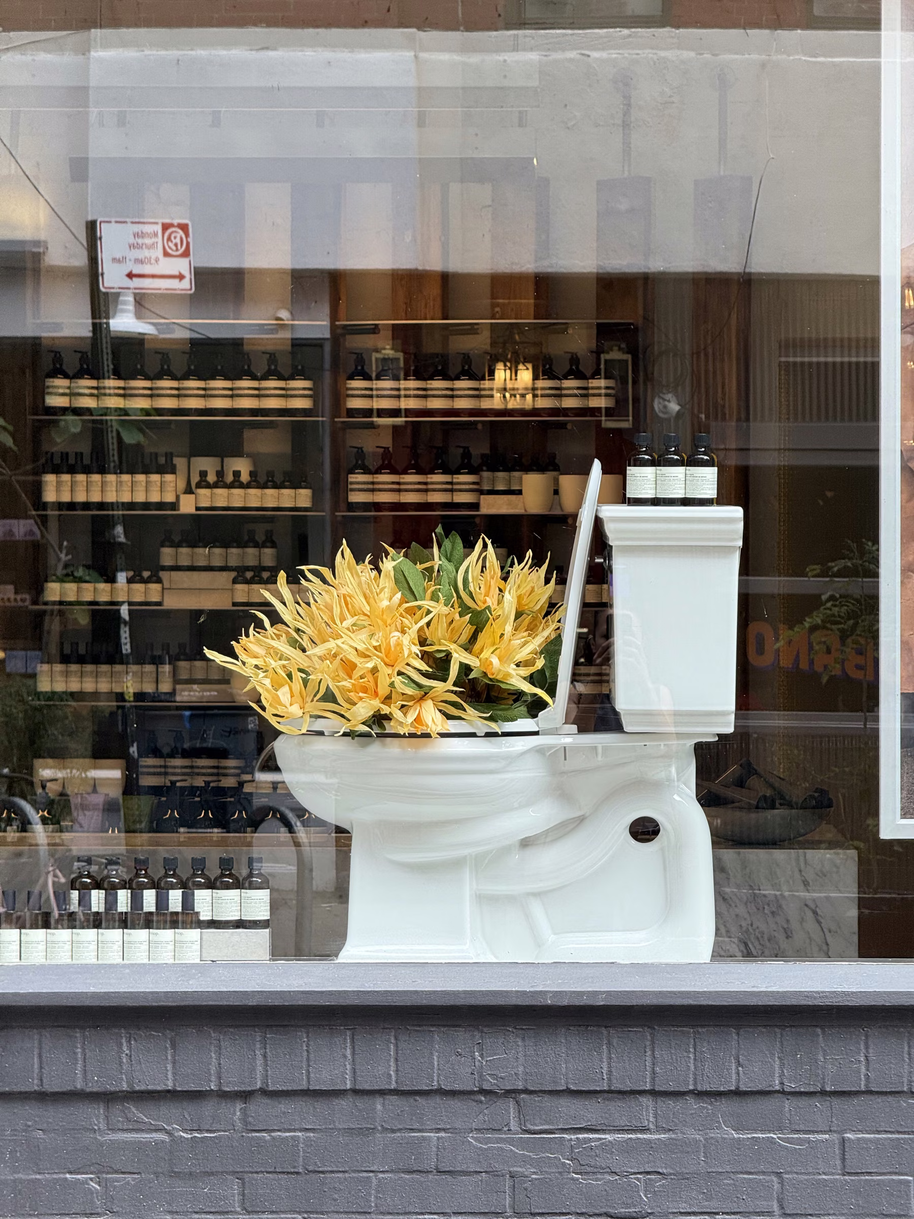 Aesop by Paper and Flowers