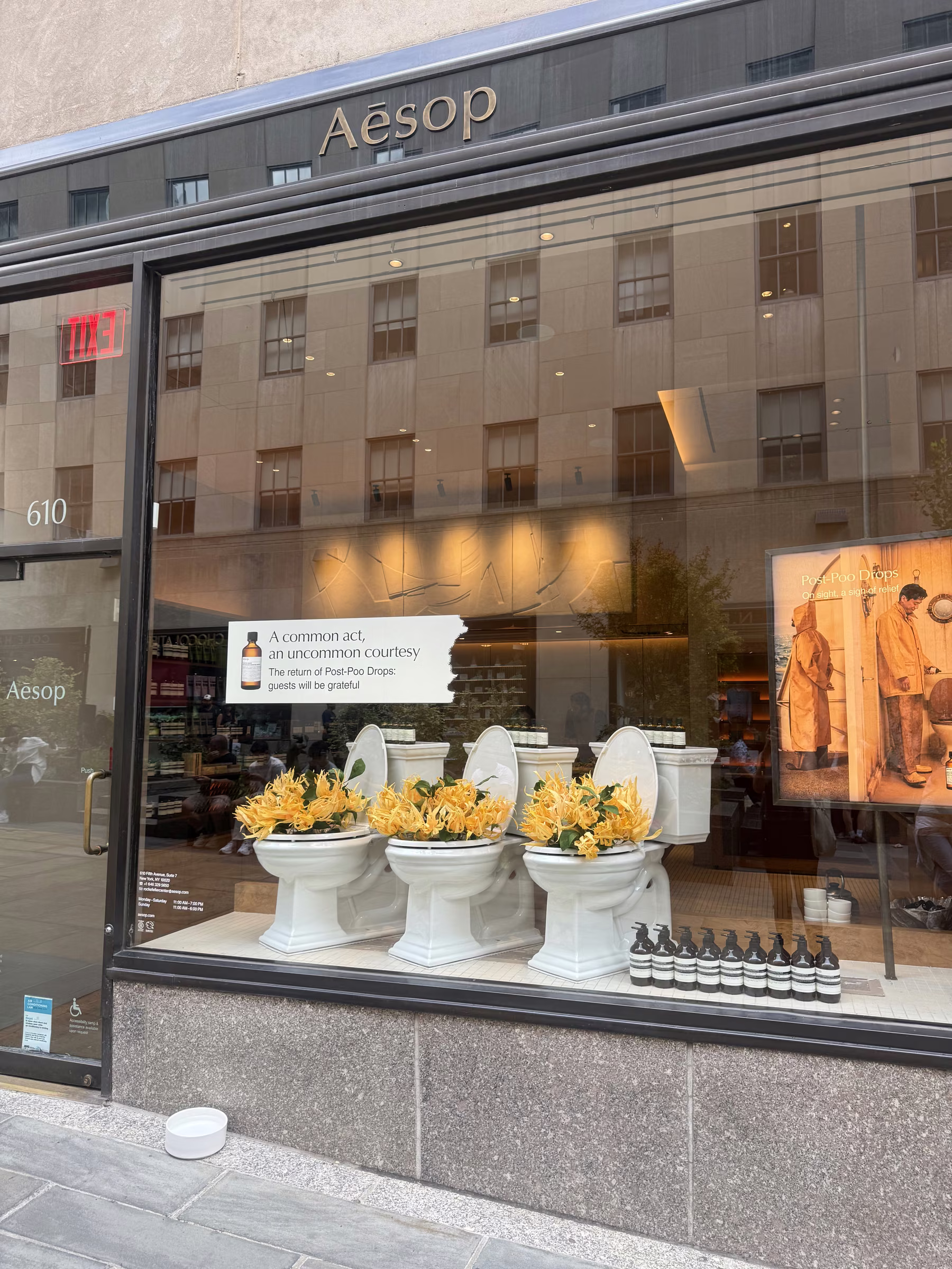 Aesop by Paper and Flowers