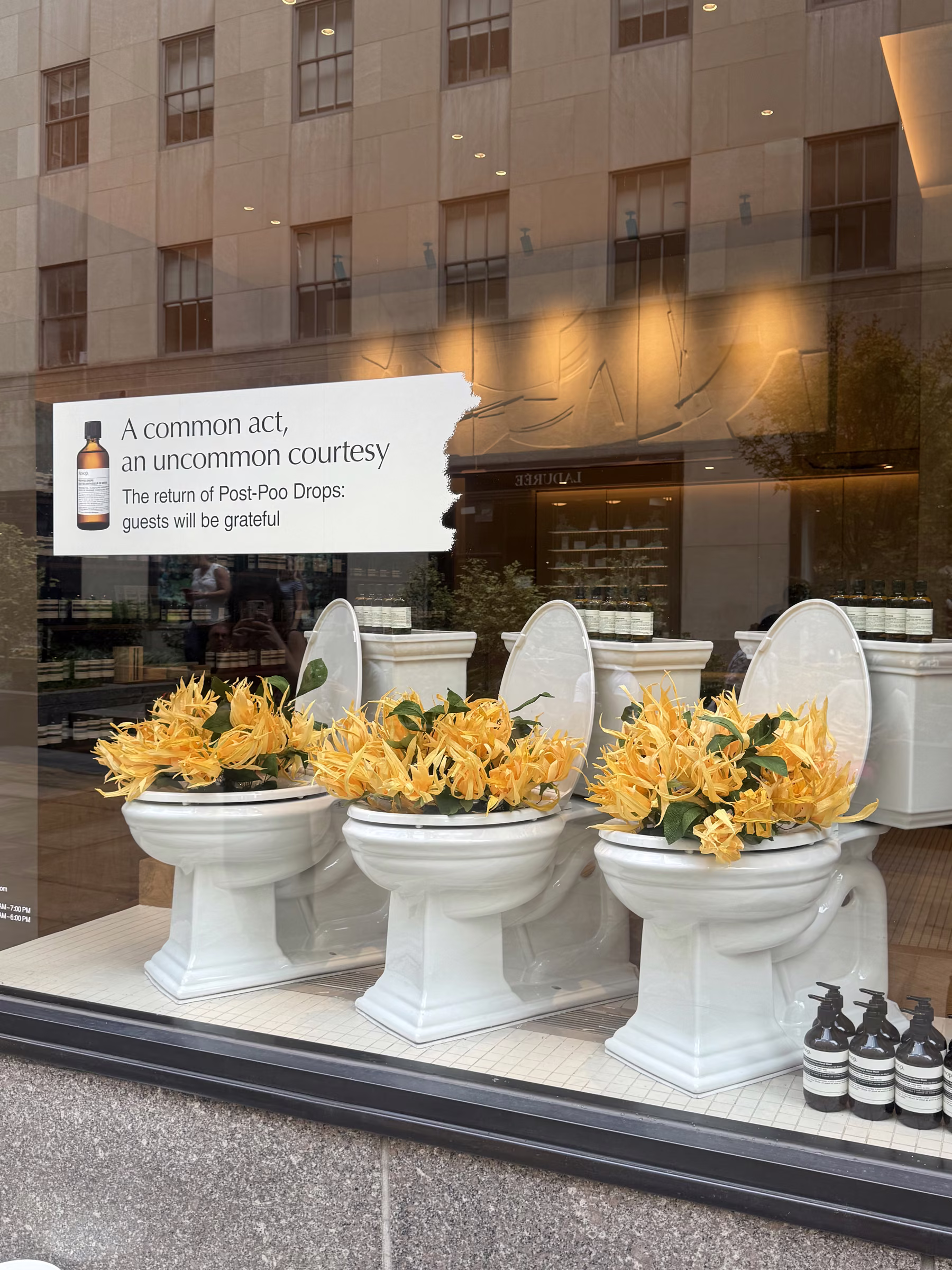 Aesop by Paper and Flowers