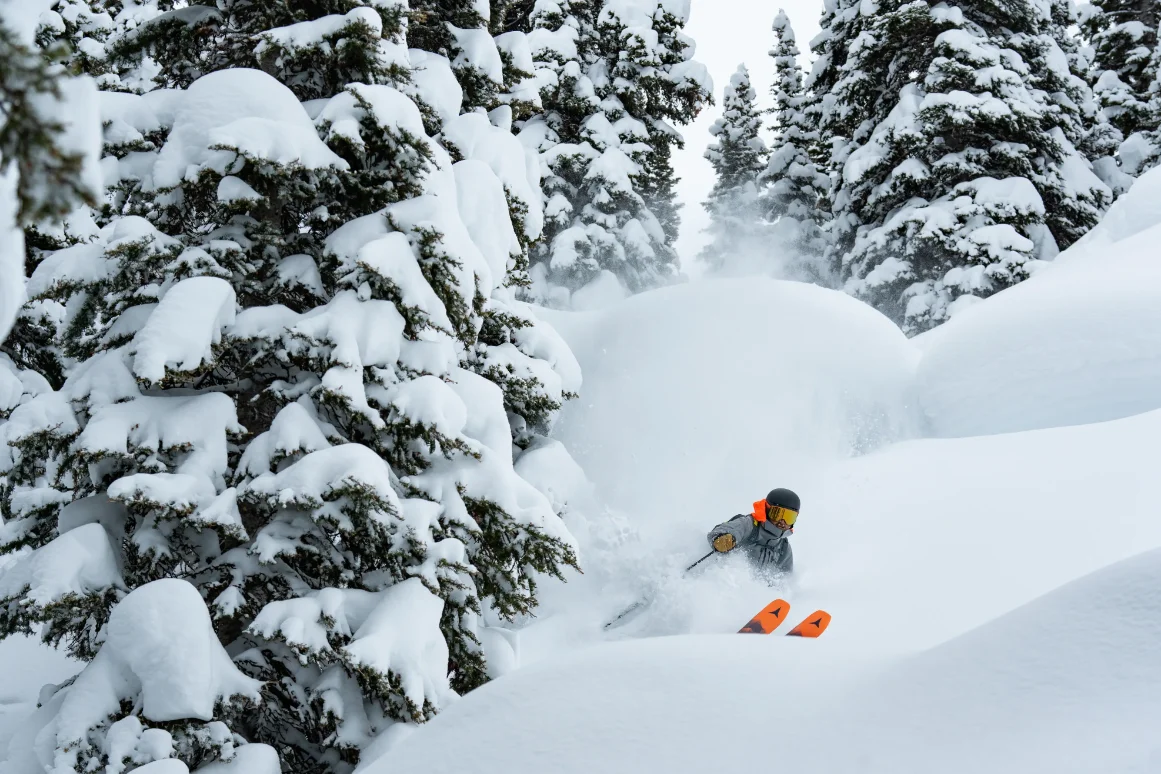 Skier with orange skis and helmet skiing through deep snow among snow-covered pine trees.