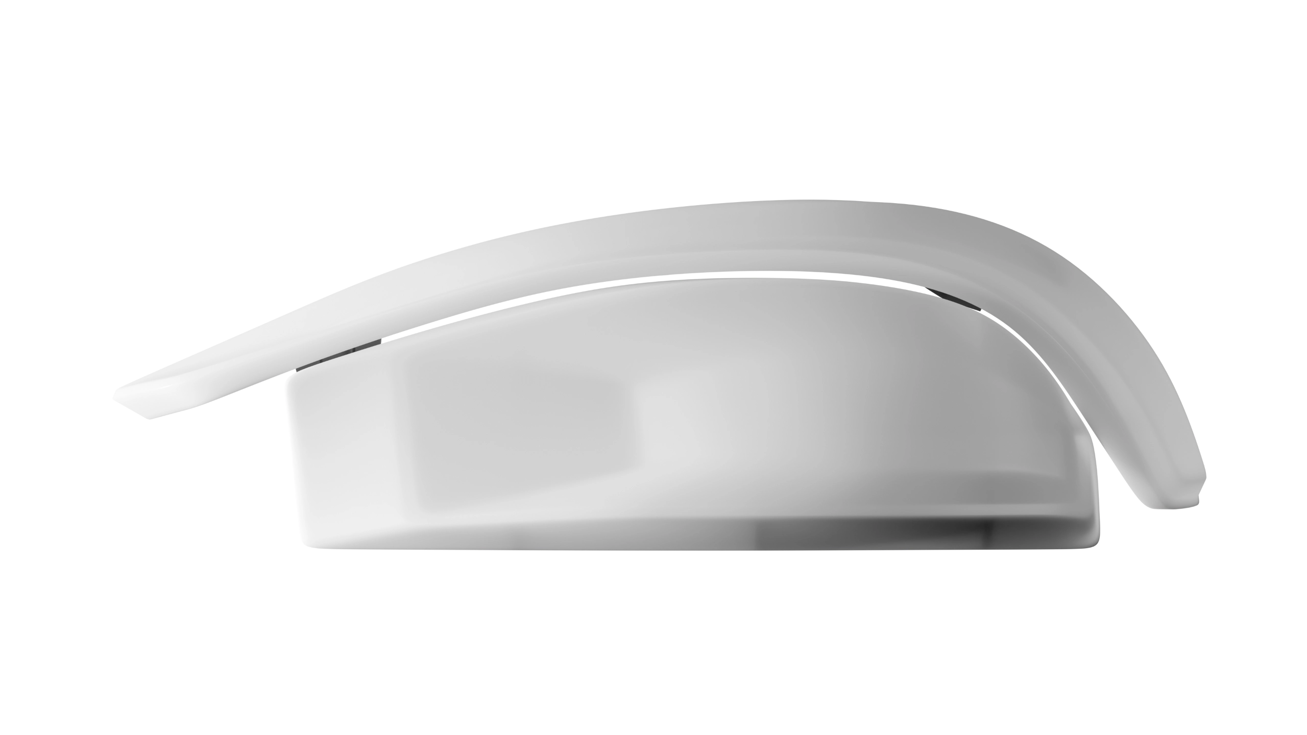 Rendered shell for the designed mouse.