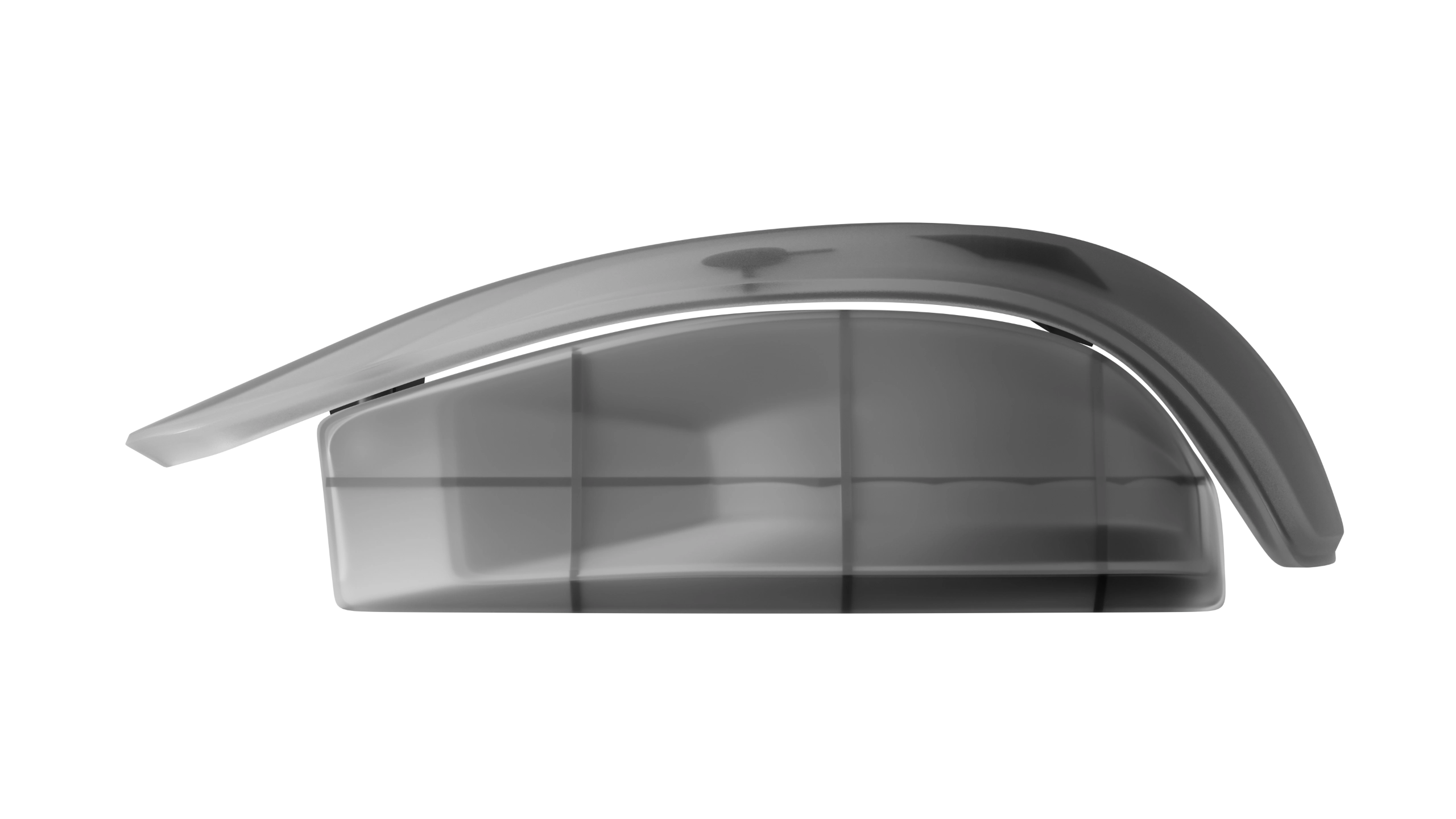 Rendered shell for the designed mouse.