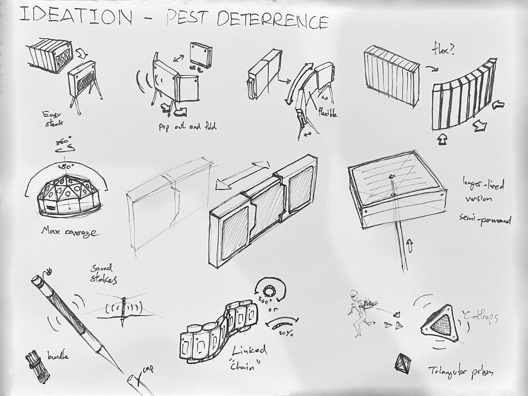Rough sketches
