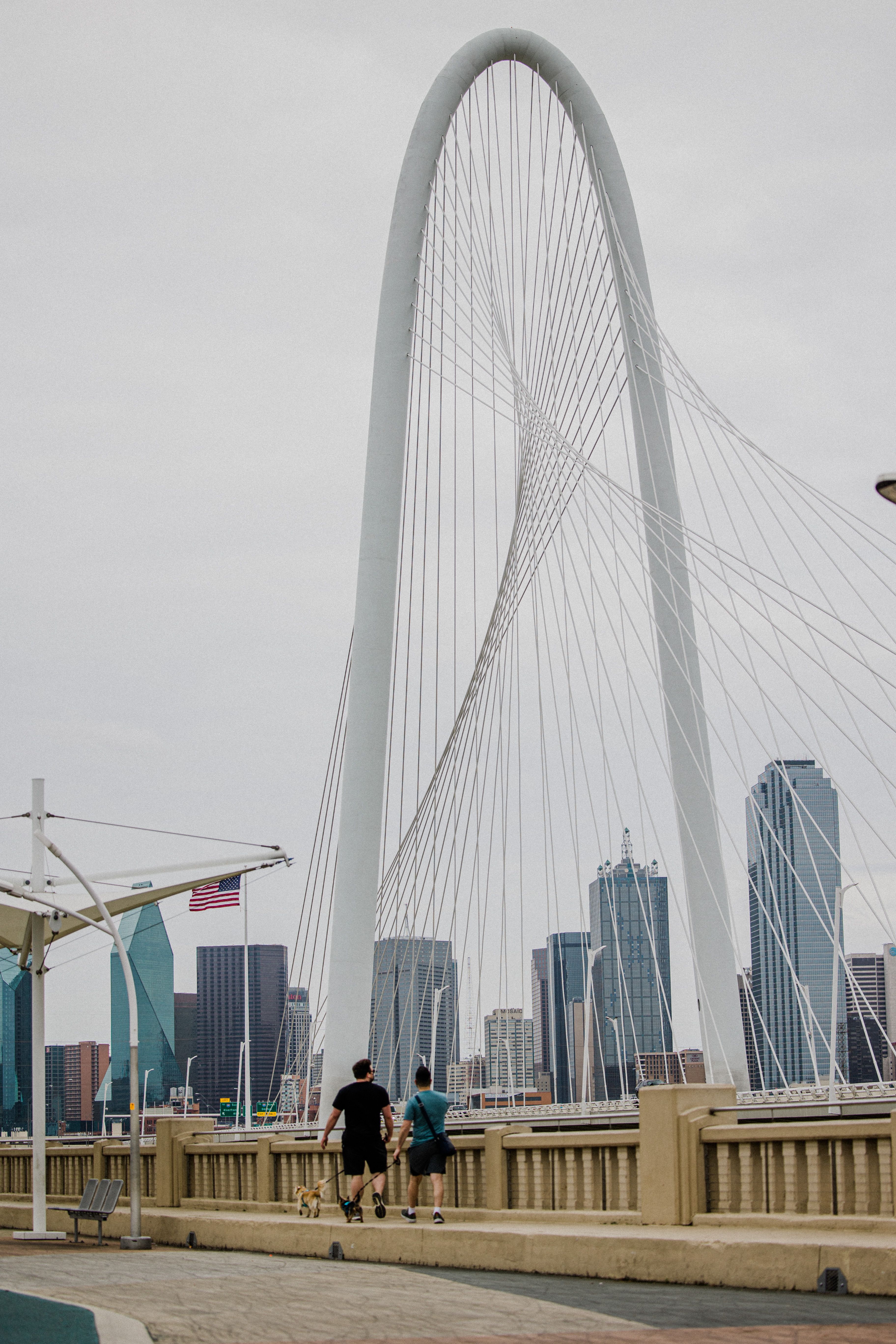 Two people walk a small dog across a Dallas bridge with the city skyline behind them.