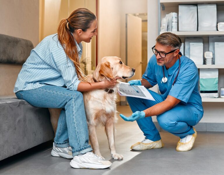 Sick Pet Exams
