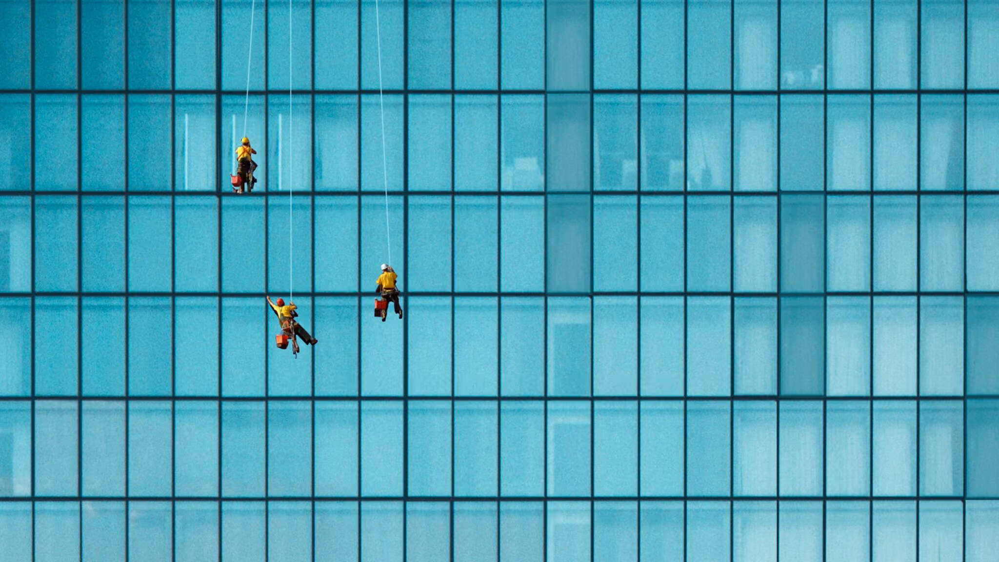 Window cleaners