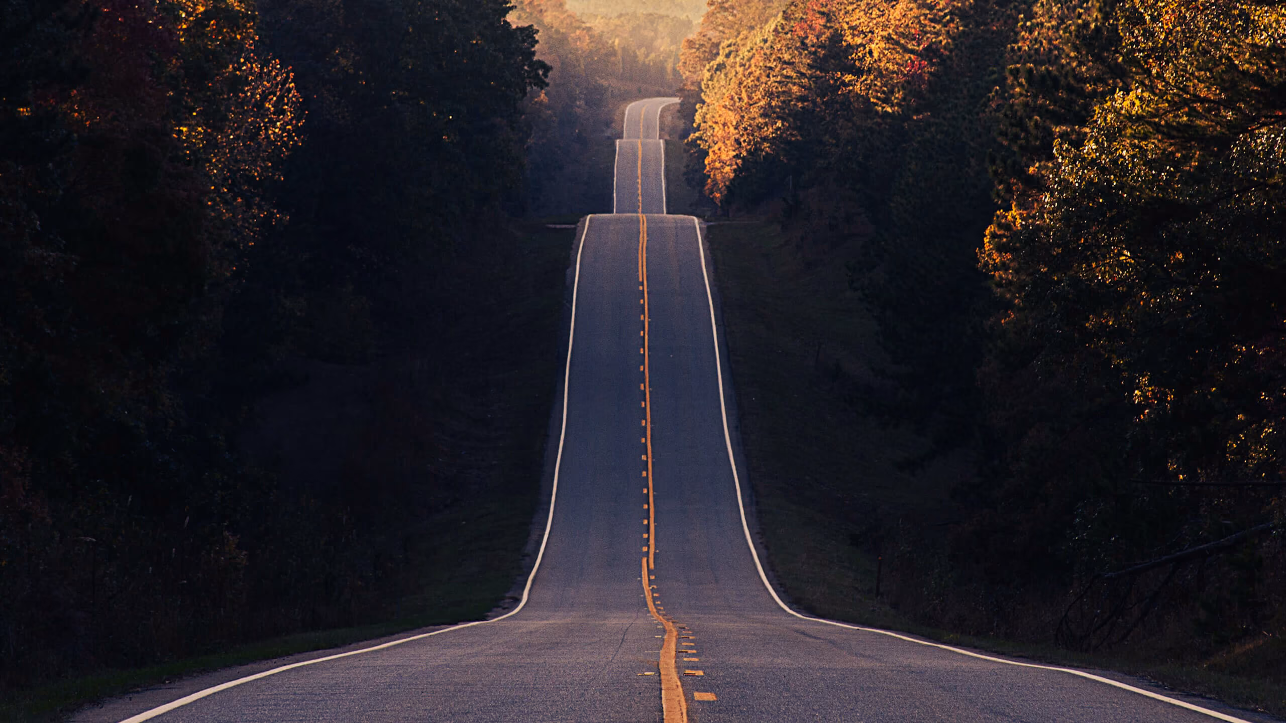 Roadway