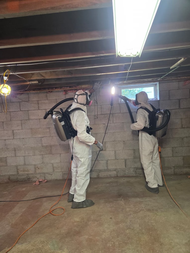 Mass Restoration Group technicians performing mold remediation and water damage cleanup in a Hampden County basement