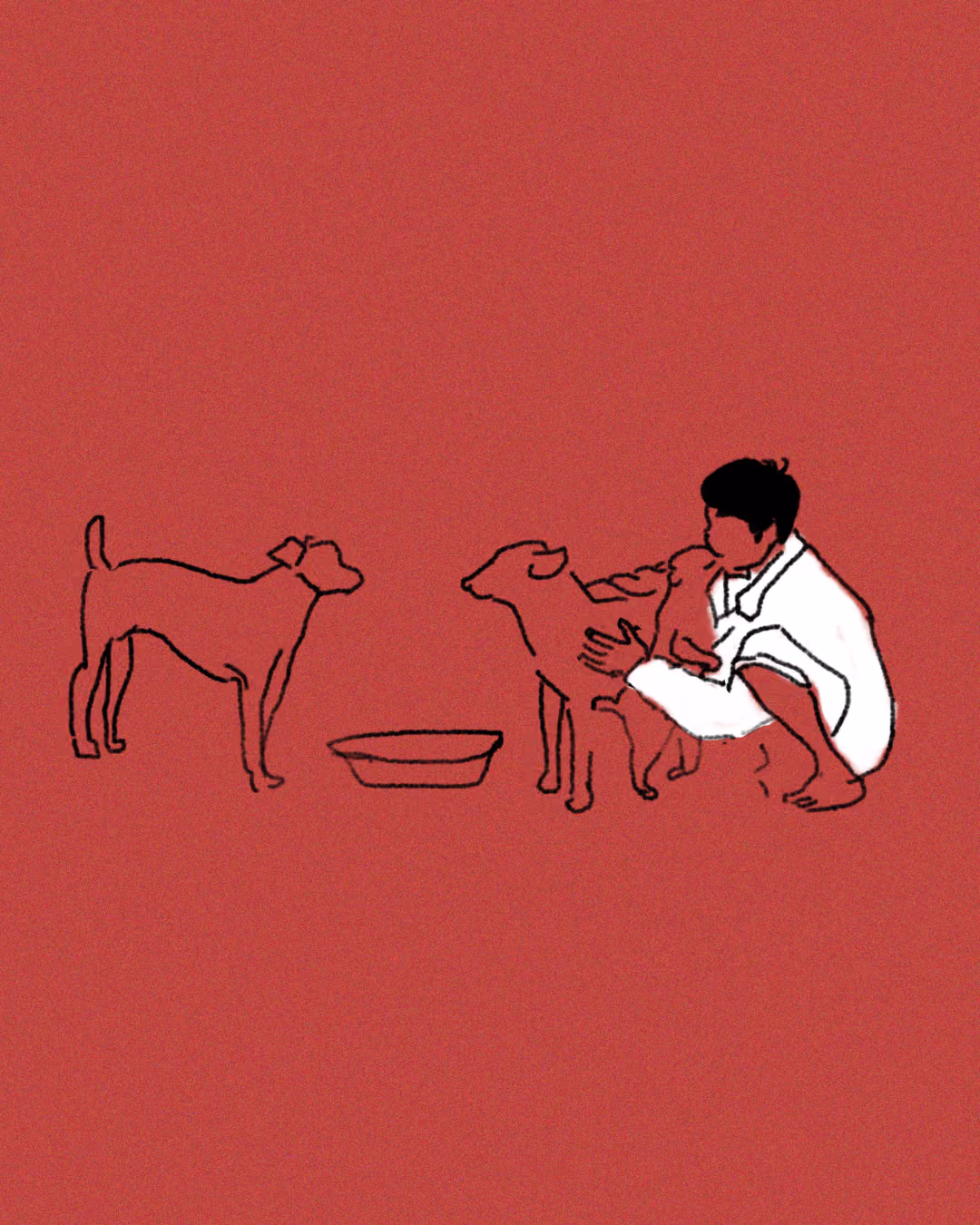 illustration of a person squatting and petting two dogs near a bowl, with a third dog standing nearby, all on a solid red background.