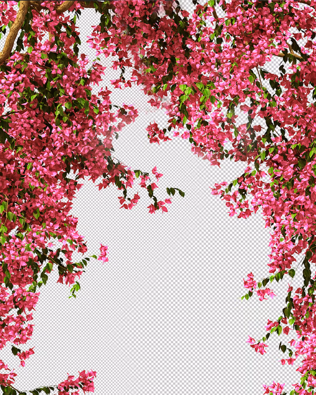 Branches of a tree with abundant pink blossoms and green leaves framing the top and sides of a transparent background.