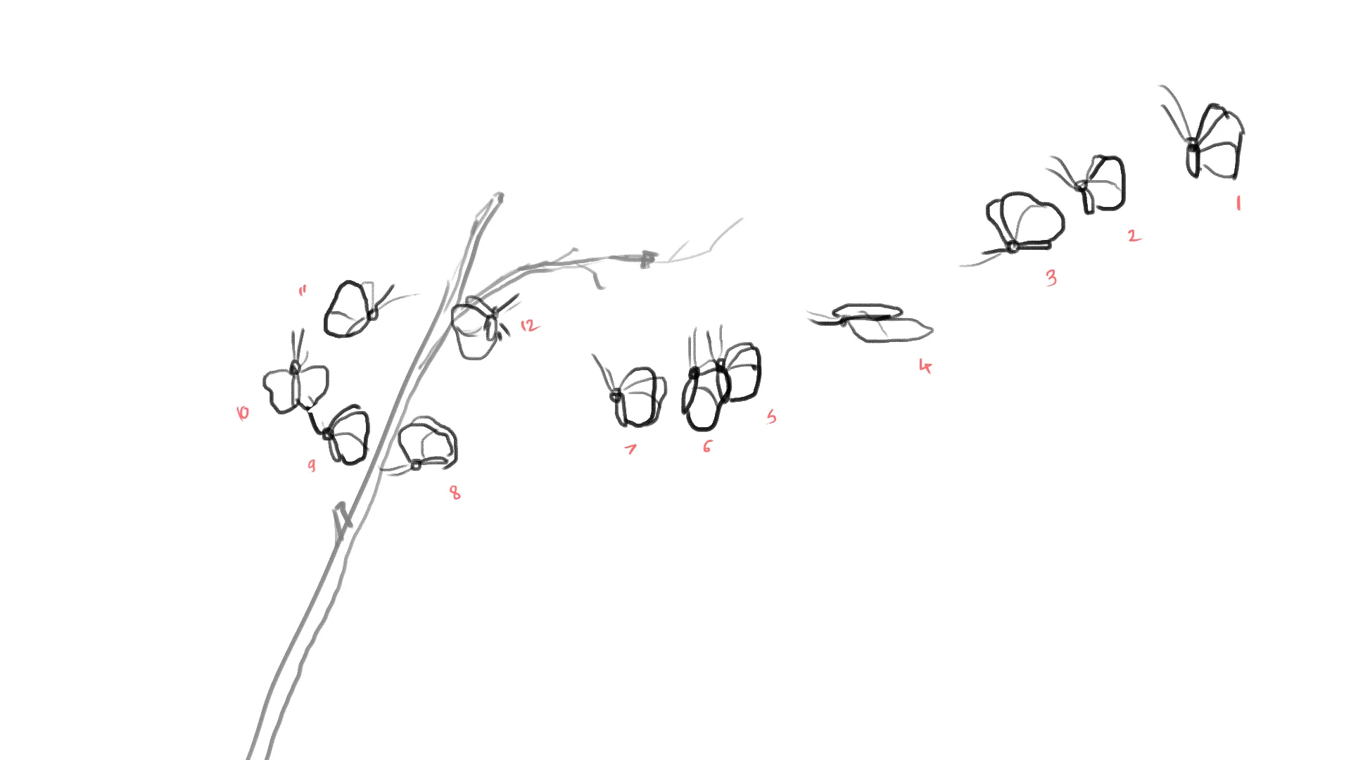A hand-drawn sequence showing a caterpillar morphing into a butterfly. The first stage shows a caterpillar on a branch, followed by a chrysalis, then several stages of a butterfly emerging and gradually flying away, numbered from 1 to 12.