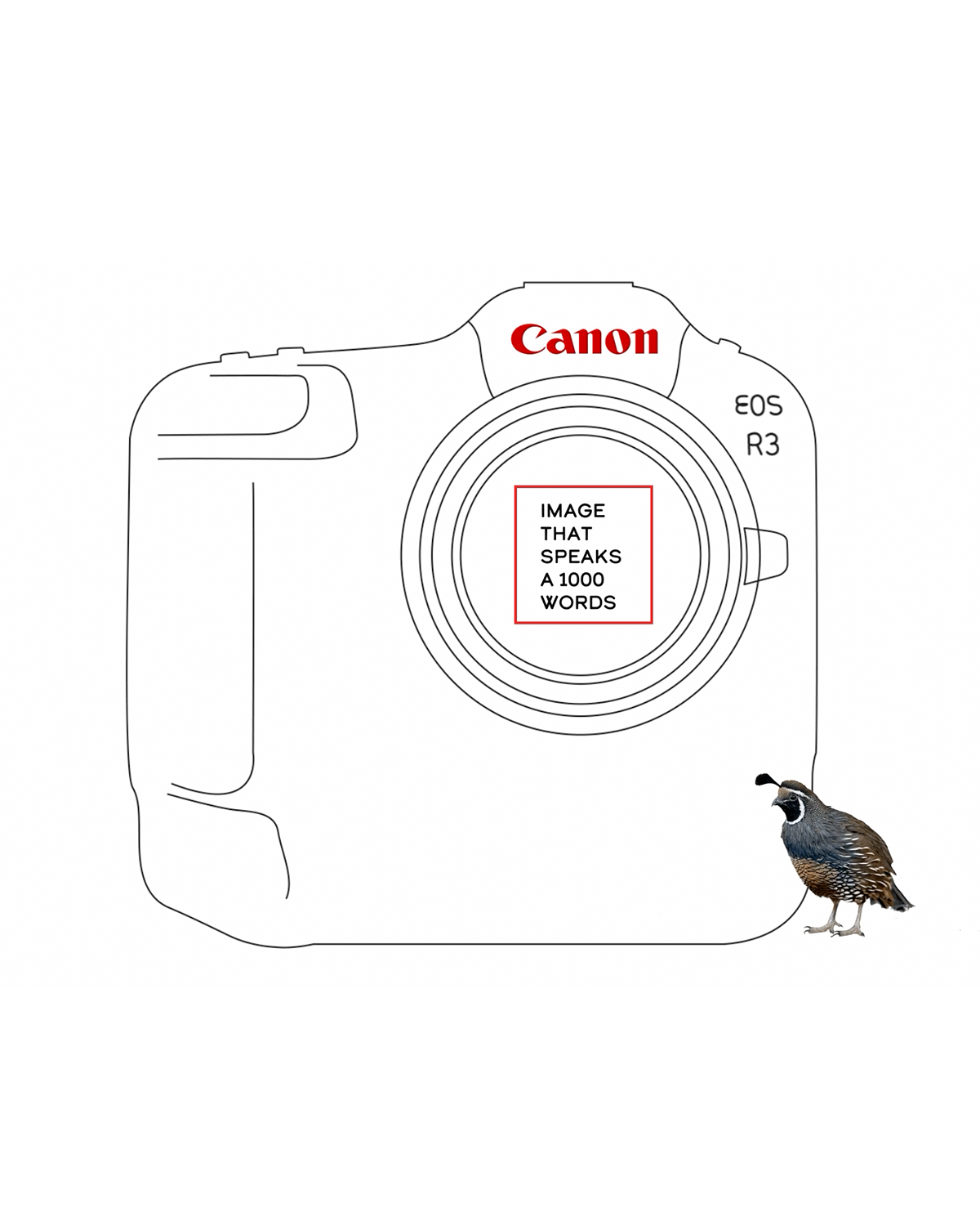 Illustration of a Canon camera with the phrase 'IMAGE THAT SPEAKS A 1000 WORDS' inside the lens area and a small quail bird standing near the bottom right corner of the camera.