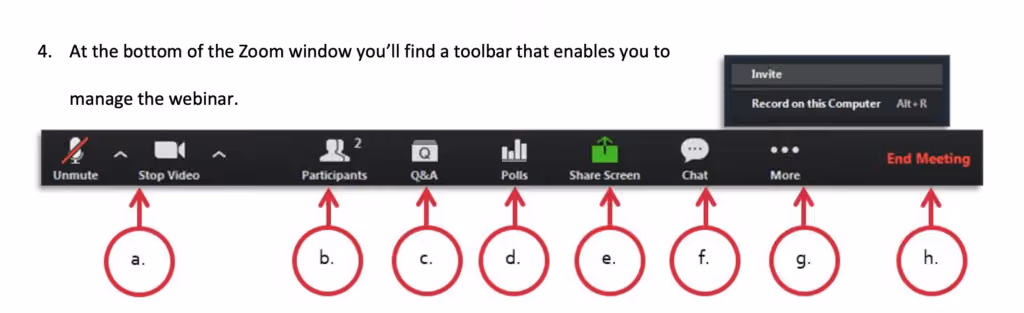 Webinar Controls On Zoom for panel discussions