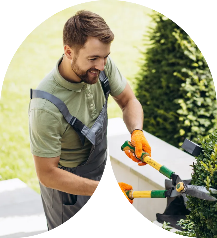 Smiling man in gloves trimming green hedge with yellow garden shears outdoors.