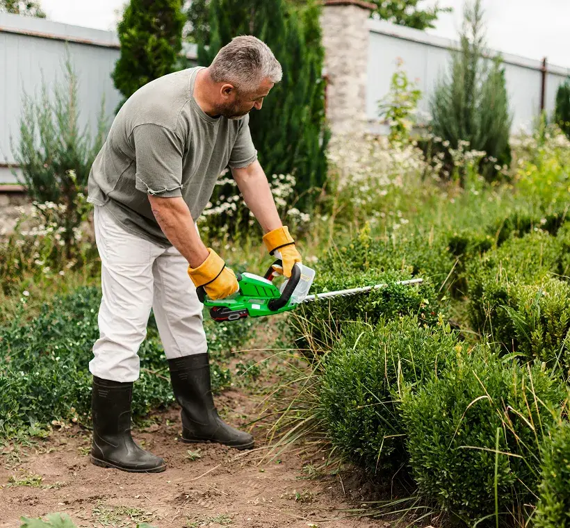 Man wearing gloves and boots trimming green bushes with a cordless hedge trimmer in a garden.