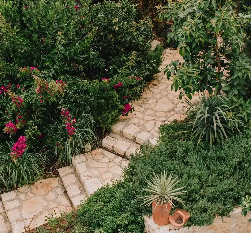 Stone garden path with steps surrounded by lush green plants and pink flowers.
