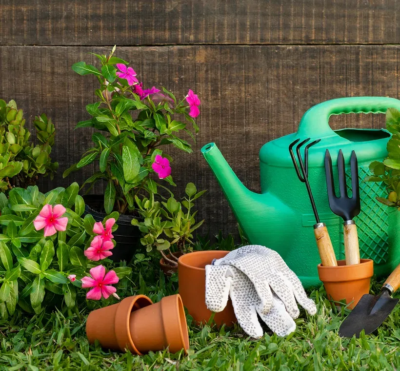 Gardening tools, potted pink flowers, and a green watering can on grass against a wooden fence background.