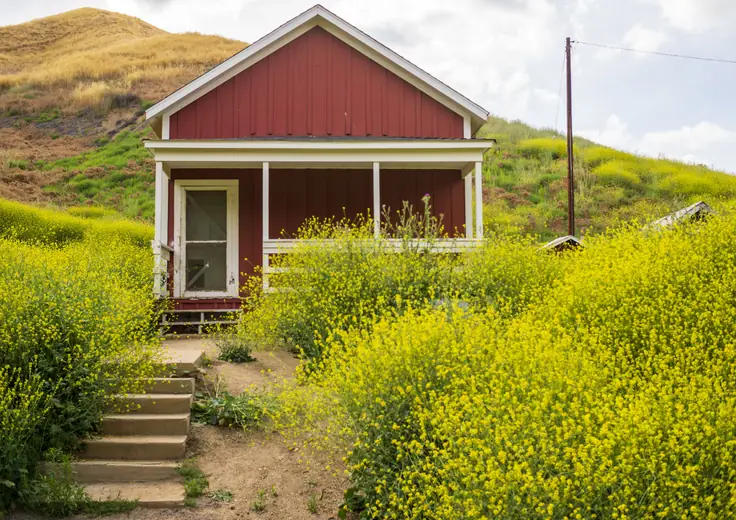 Red single-family rental home surrounded by yellow wildflowers and grassy hills.