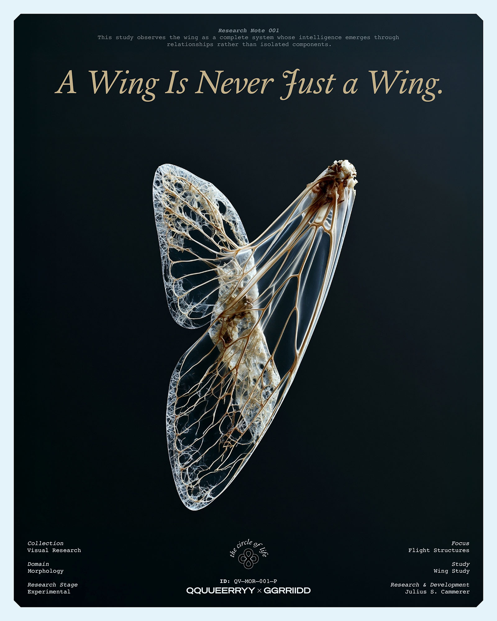 A Wing Is Never Just a Wing.