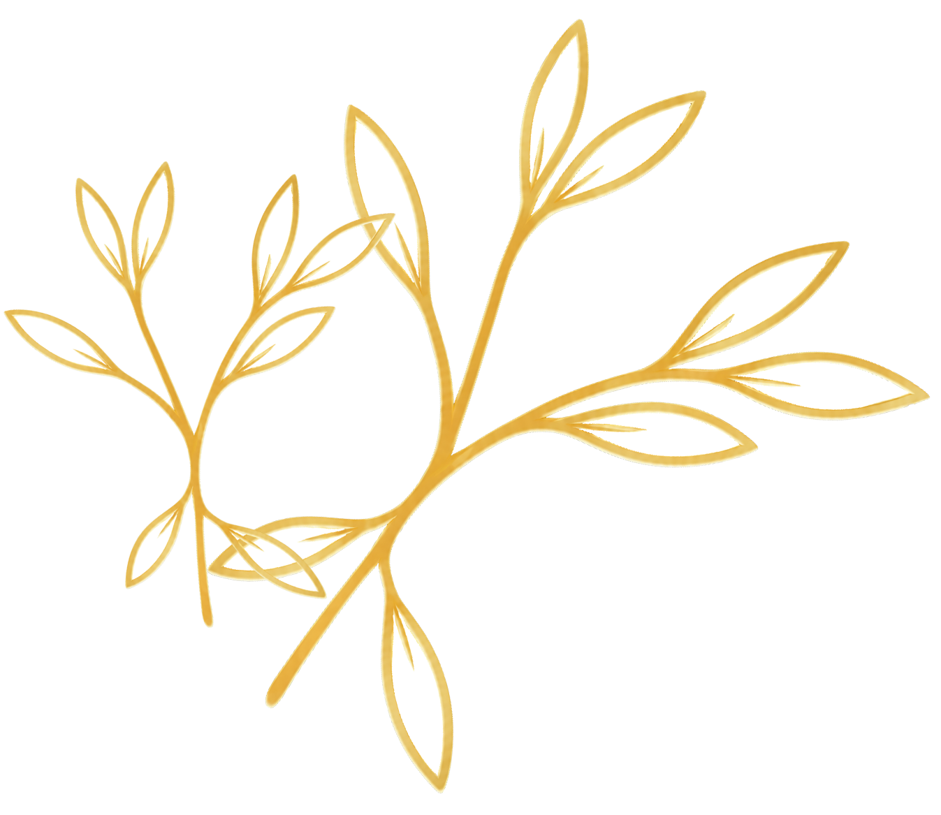 Two gold outlined branches with elongated leaves on transparent background.