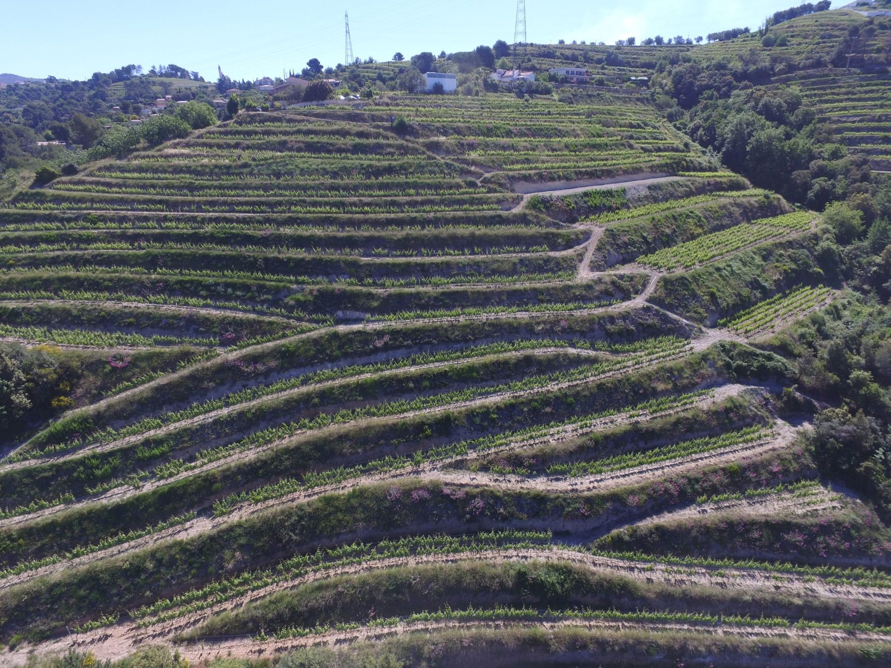 Clos Saint-Vincent – vignerons et domaine partenaires des Bons Sens