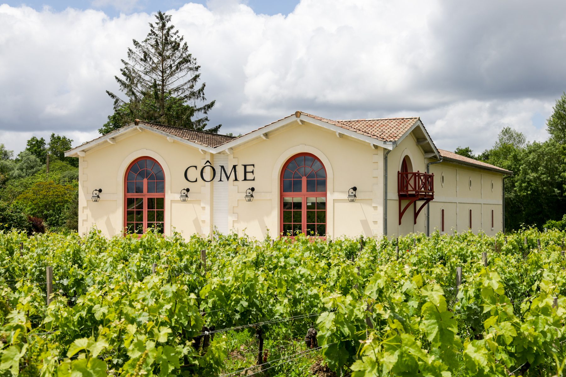 Château de Côme, chai et vignoble à Saint-Estèphe