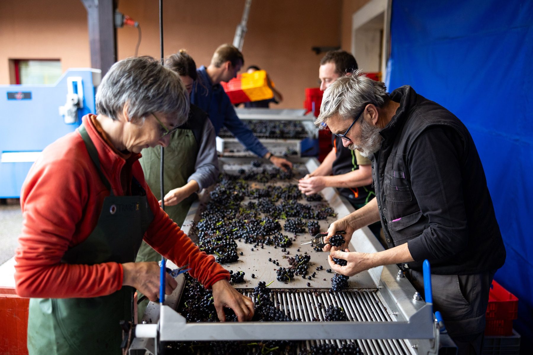 Domaine Trapet Père et Fils – vignerons et domaine partenaires des Bons Sens
