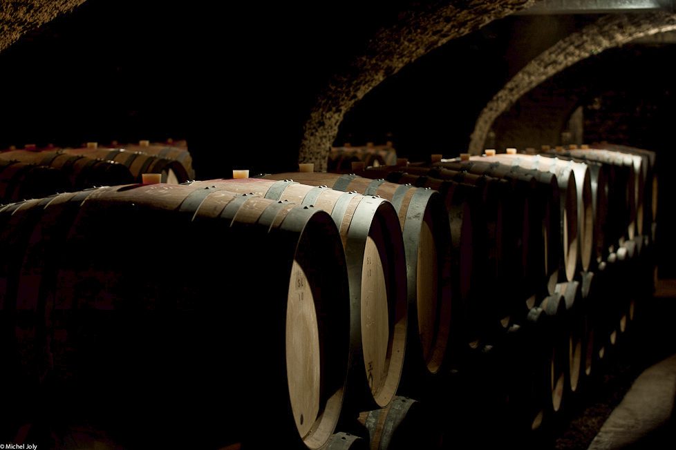 Domaine Tollot-Beaut – vignerons et domaine partenaires des Bons Sens
