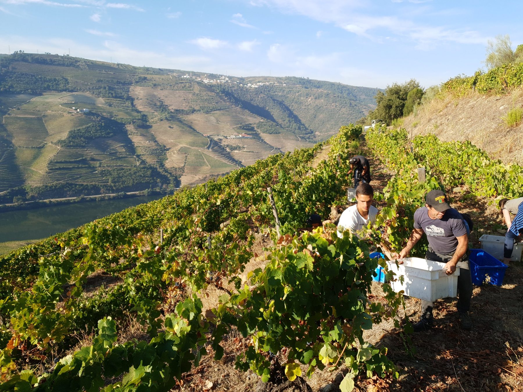 Quinta do Infantado – vignerons et domaine partenaires des Bons Sens