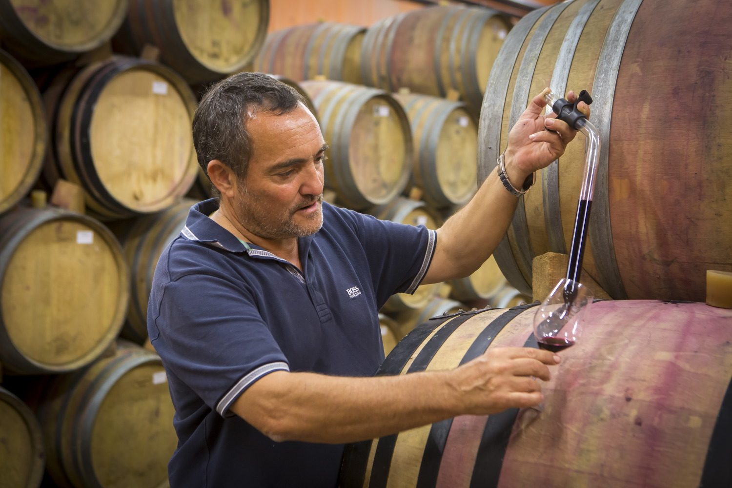 Domaine Yves Cuilleron – vignerons et domaine partenaires des Bons Sens