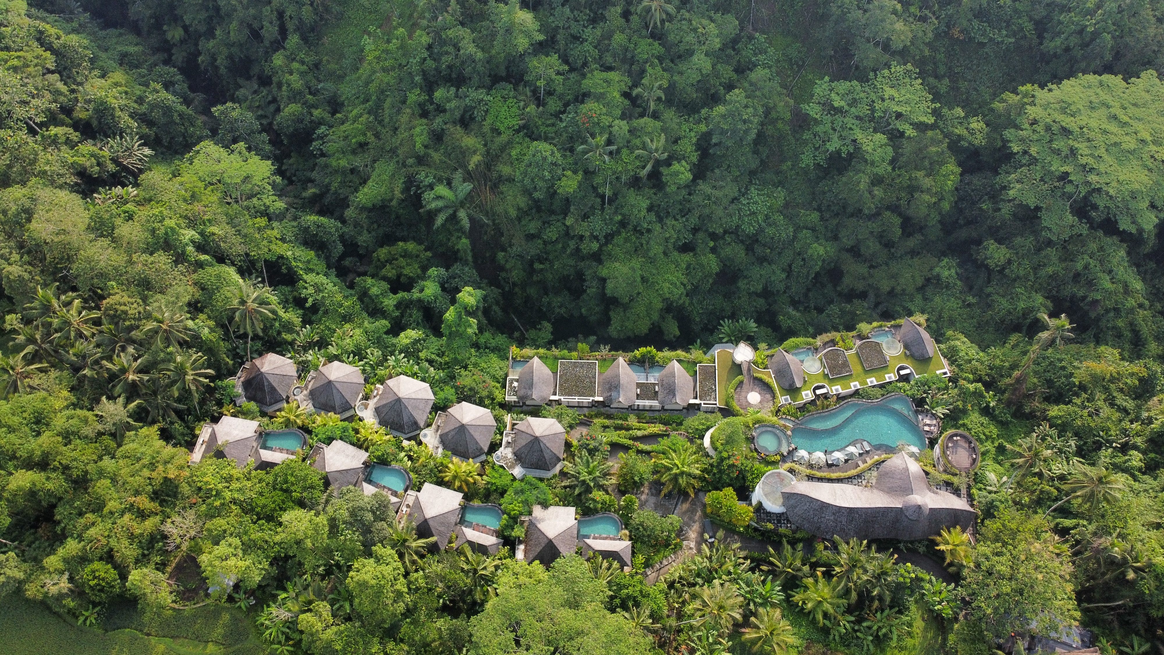 Kenran Resort Ubud nestled among rice terraces and tropical greenery