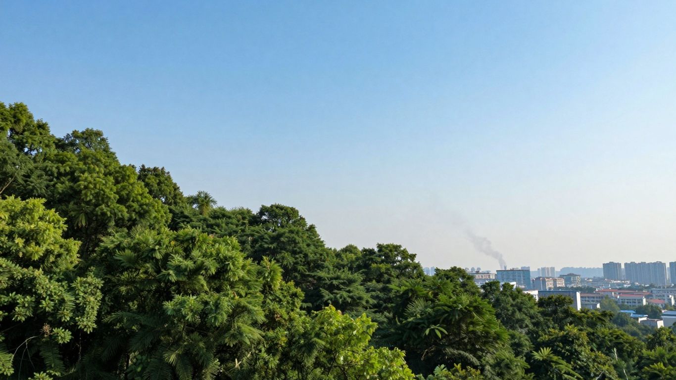 Green forest meets city skyline with subtle smoke.